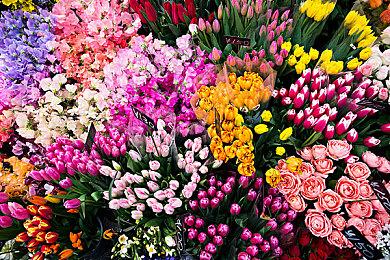 《OPUS：心相吾山》发布新预告 2025年正式发售